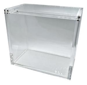 Case in Plexiglass