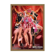 One Piece Card Game Heroines Special Set Premium Bandai – ENG