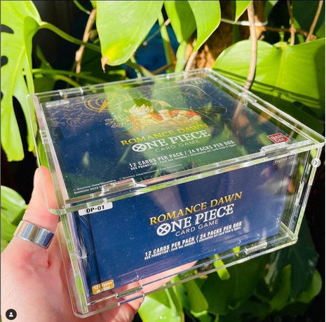 Case in Plexiglass per box one piece eng