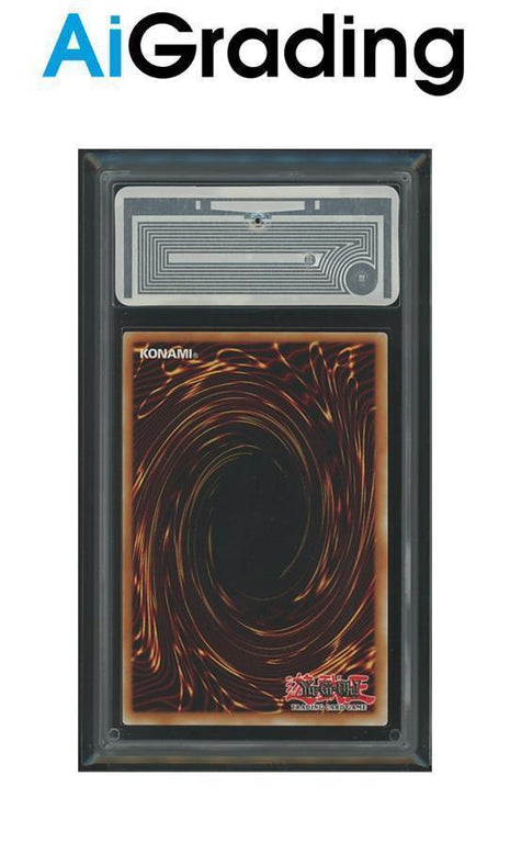 Gamba destra del proibito BLCR IT102 Starlight Rare Voto 9