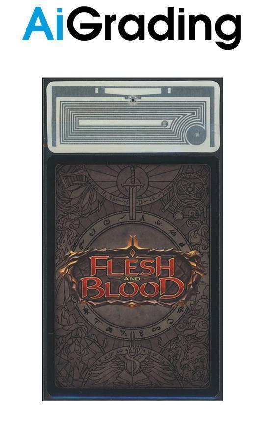 Grande Biblioteca di Solana History Pack 2 Flesh and Blood ITA Fabled Raimbow Foil 9,5 Toploader
